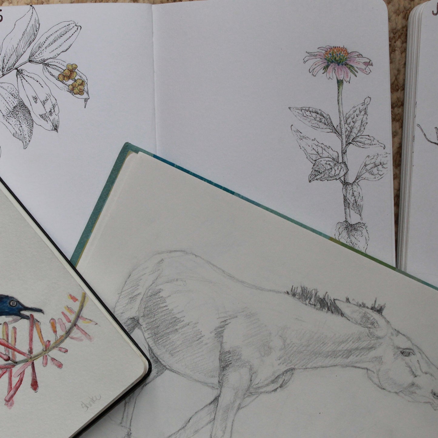 CREATING A SKETCHBOOK HABIT