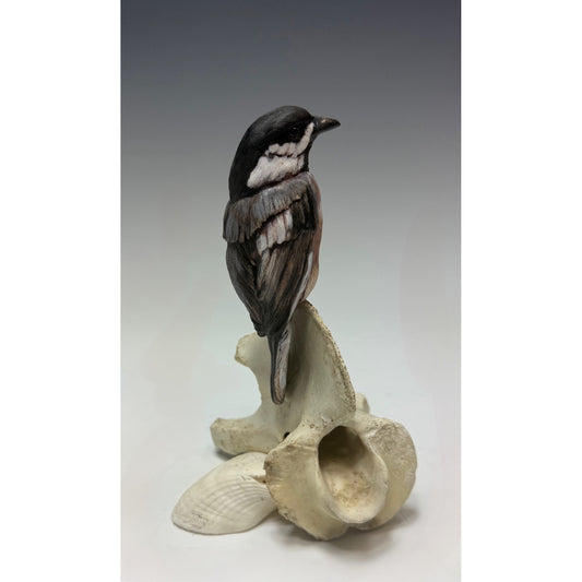 BIRDS, BIRDS, BIRDS
