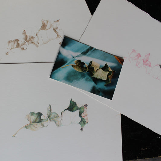 EXPLORING UNDERPAINTING IN COLORED PENCIL