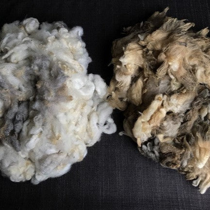 FLEECE WASHING 101: 2 - DAY INTENSIVE