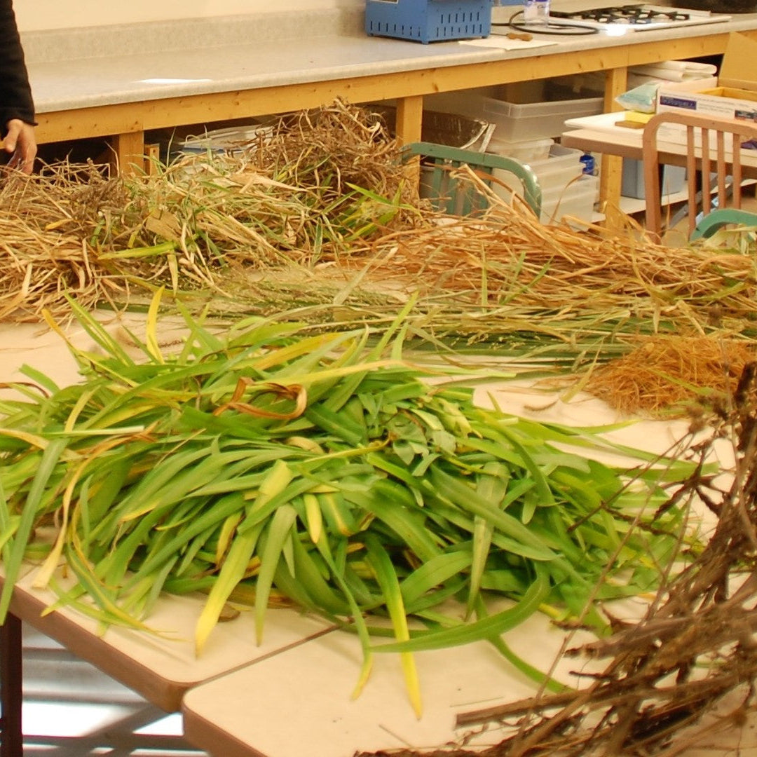 HAND PAPERMAKING WITH NATURAL FIBERS