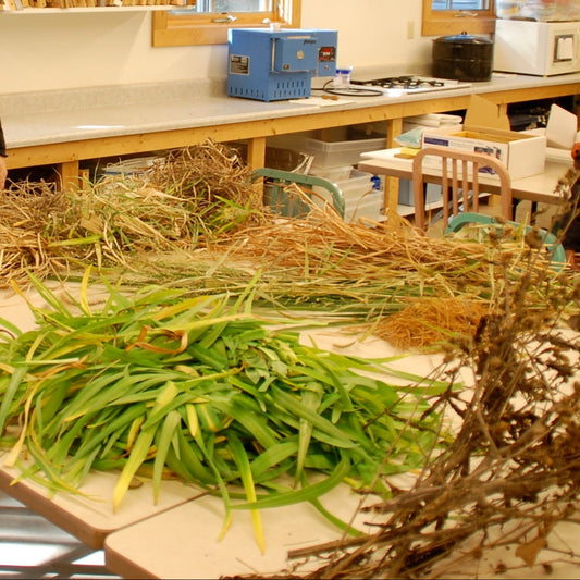HAND PAPERMAKING WITH NATURAL FIBERS
