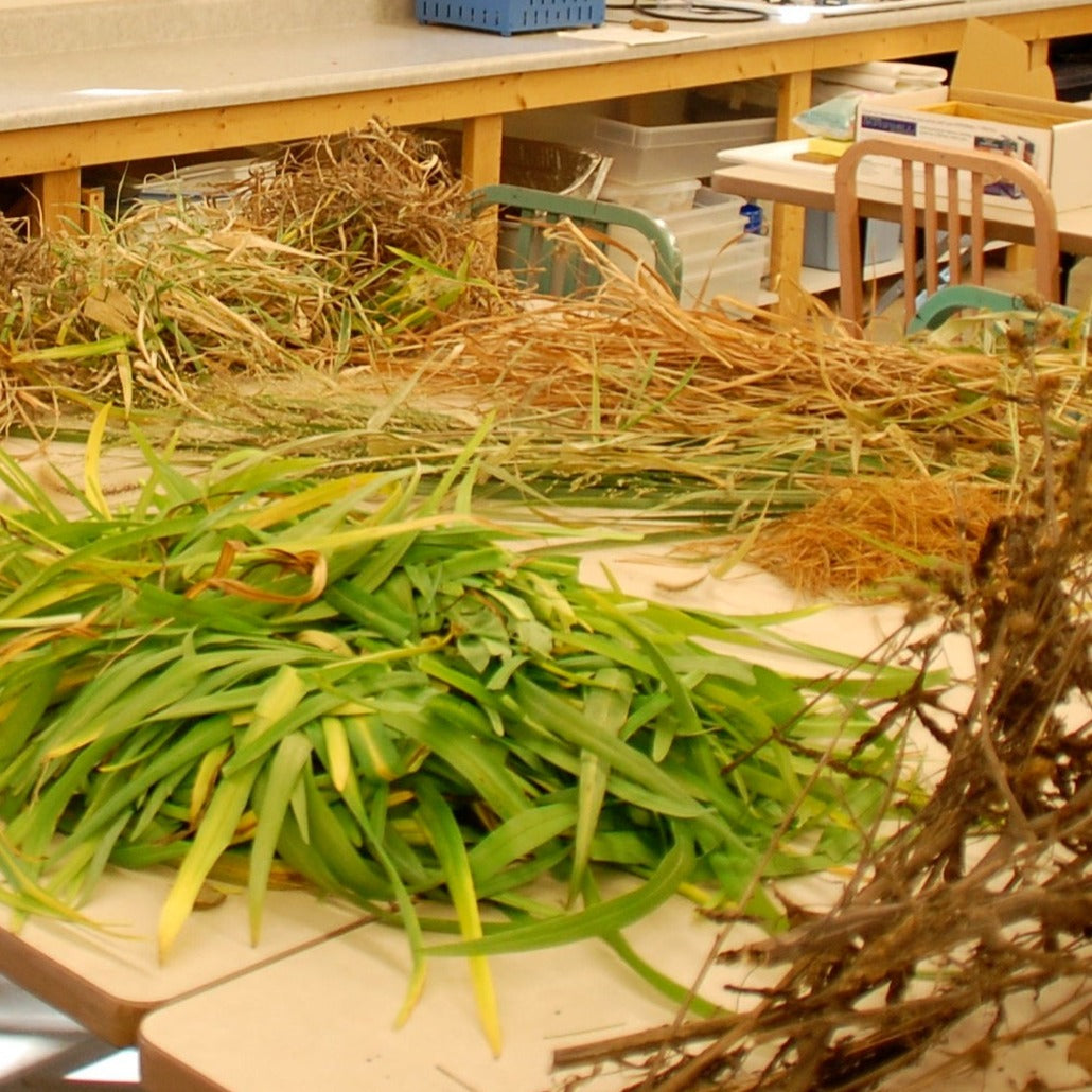 HAND PAPERMAKING WITH NATURAL FIBERS